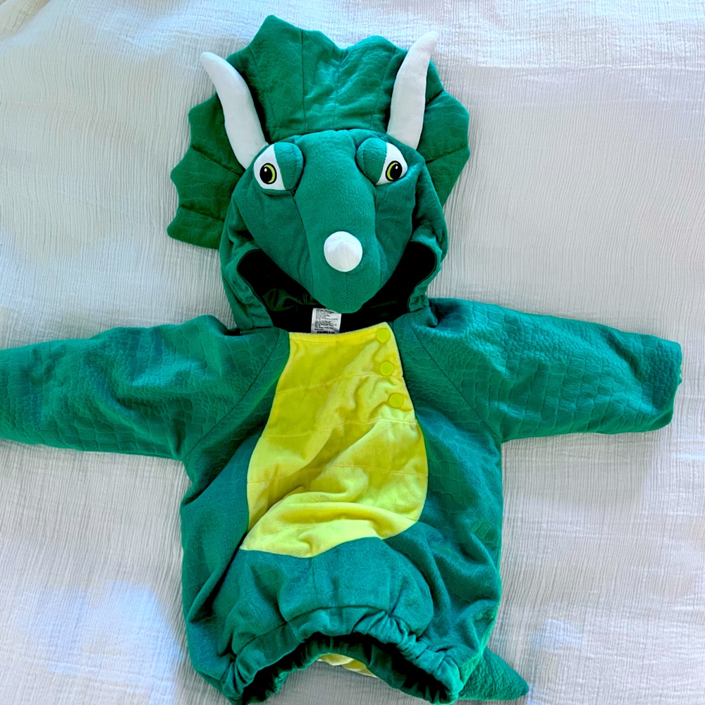 Dinosaur toddle costume